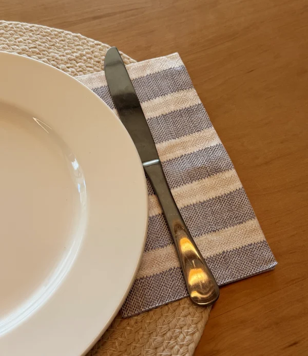Servilletas rectangulares Rayas Mister Kook