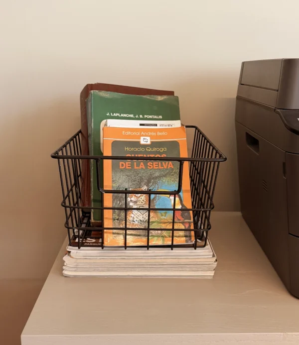 Canasto Eva Negro haus up