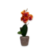 Flor durazno