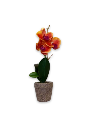 Flor durazno