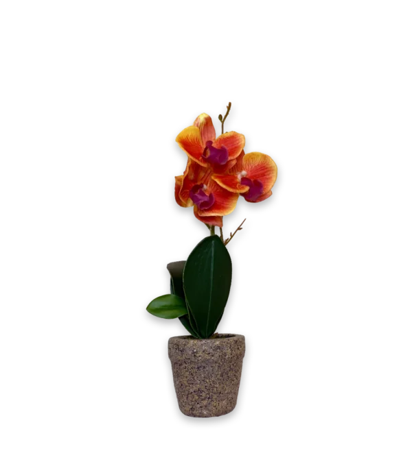 Flor durazno