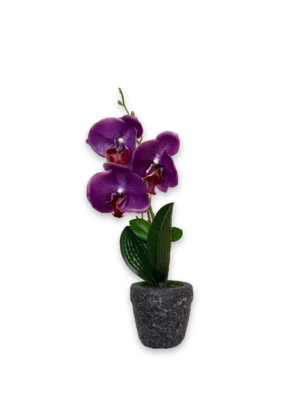 Flor violeta