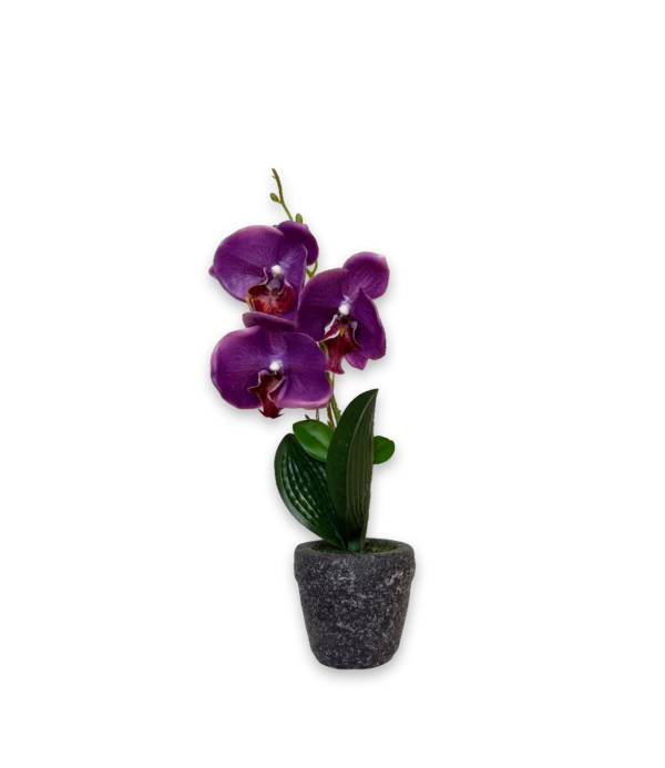 Flor violeta