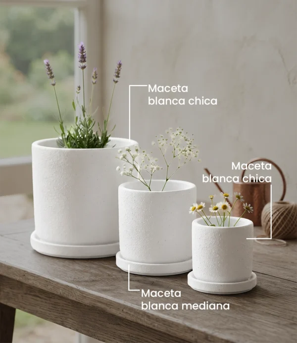 Maceta blanca grande