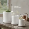 DEC-MACETA-BLANCA-MED-3 Maceta blanca mediana
