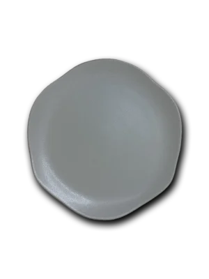 Plato oceánico chico
